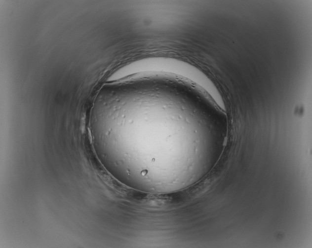 X0000111230368200907161322