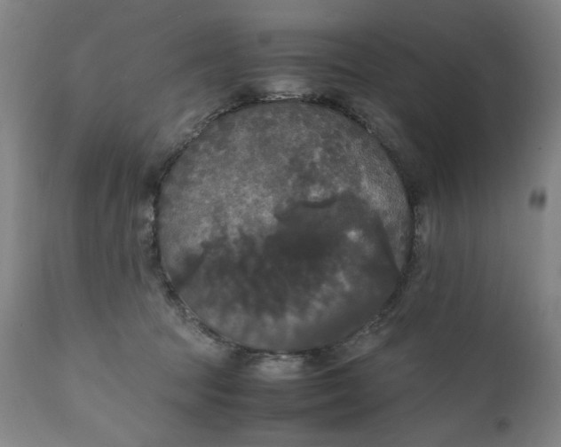 X0000111230369200907161322