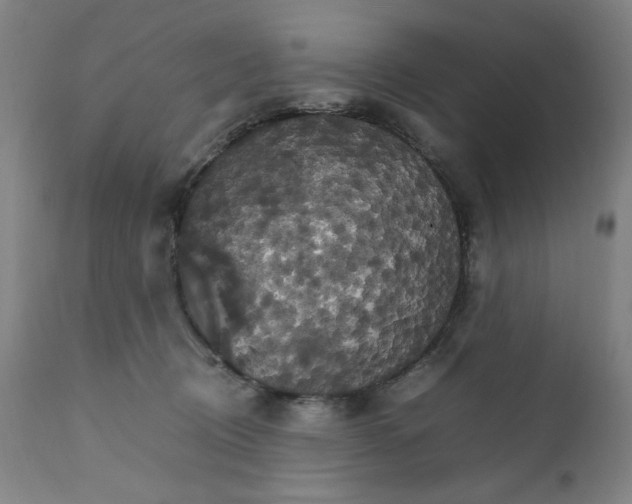 X0000111230370200907161322