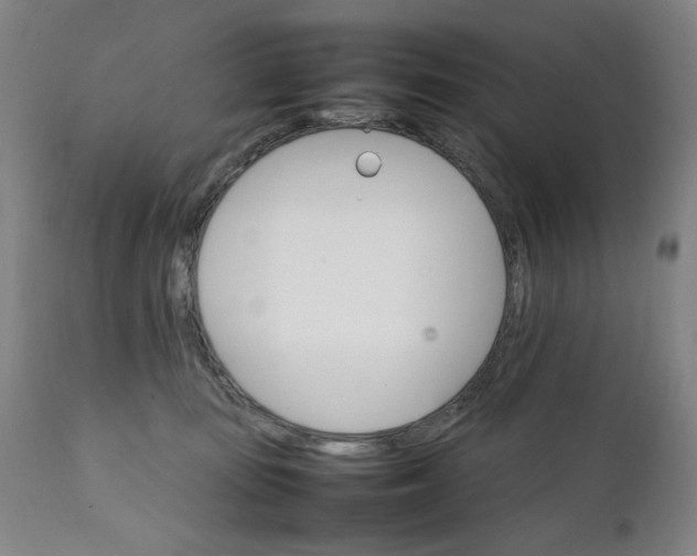 X0000111230371200907161322
