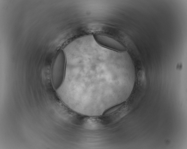 X0000111230372200907161322