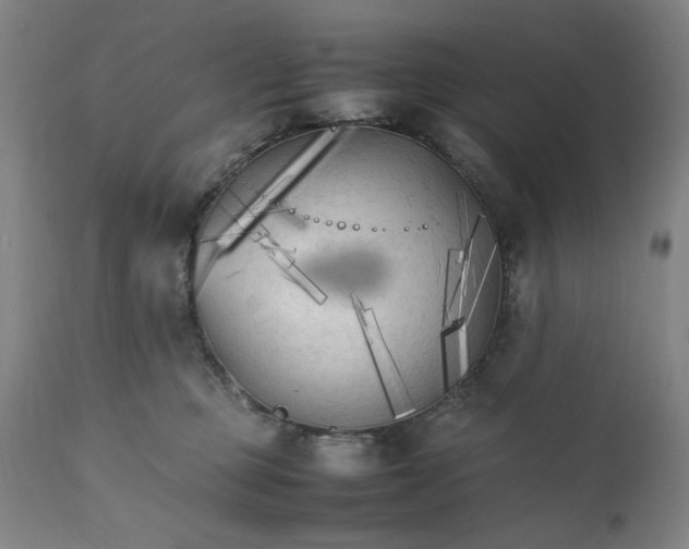 X0000111230373200907161322