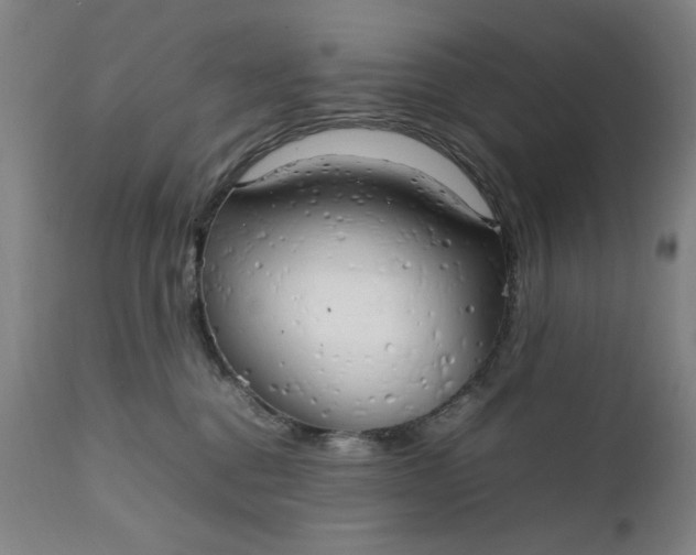 X0000111230376200907161322