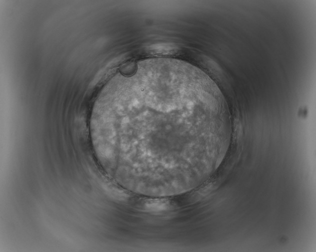 X0000111230377200907161322