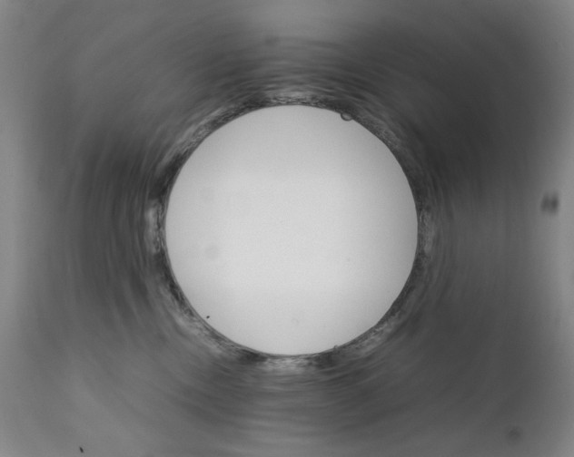 X0000111230378200907161322