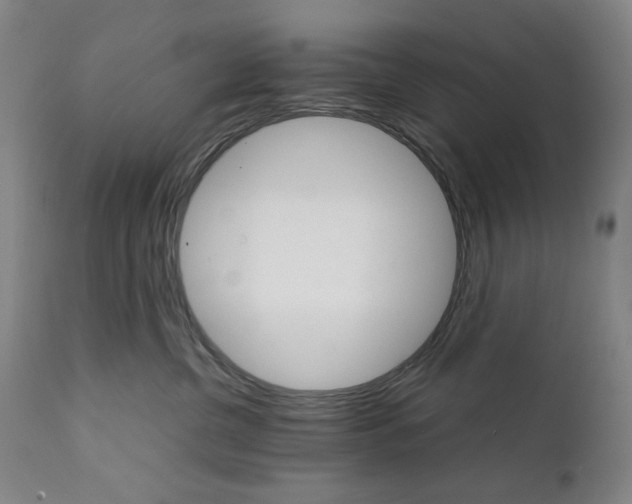 X0000111230380200907161322