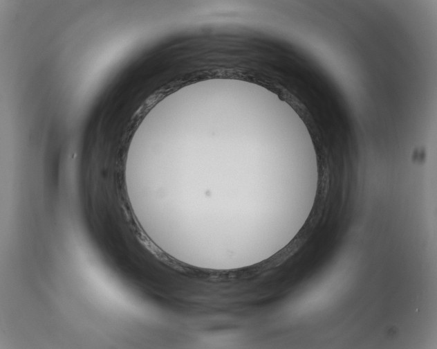 X0000111230383200907161322