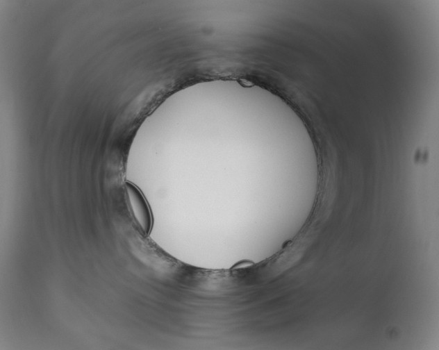 X0000111230384200907161322