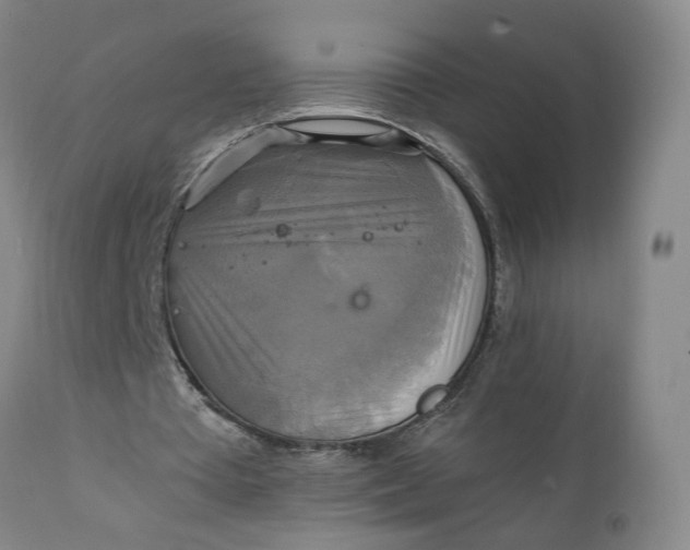 X0000111230385200907161322