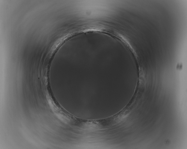 X0000111230386200907161322