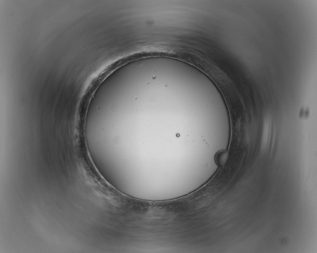 X0000111230388200907161322