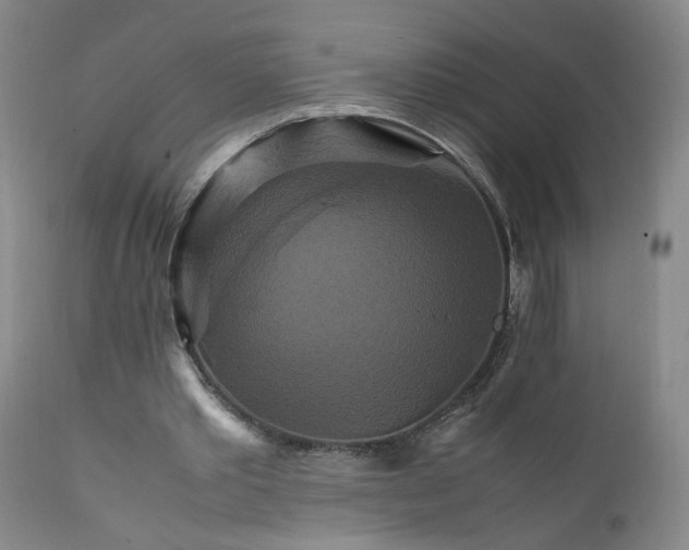 X0000111230389200907161322