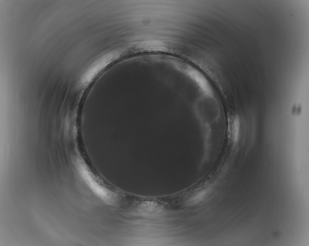 X0000111230390200907161322
