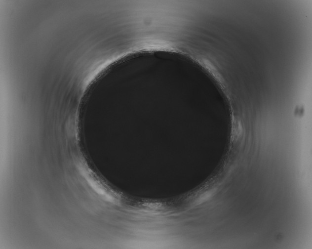 X0000111230391200907161322