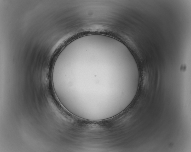 X0000111230392200907161322