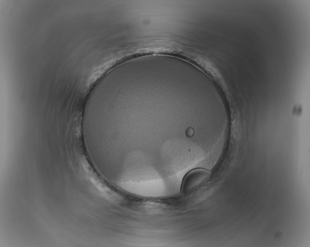 X0000111230393200907161322