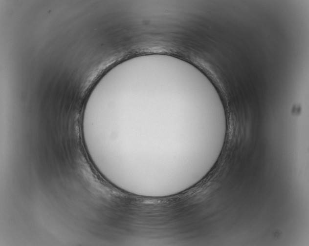 X0000111230394200907161322