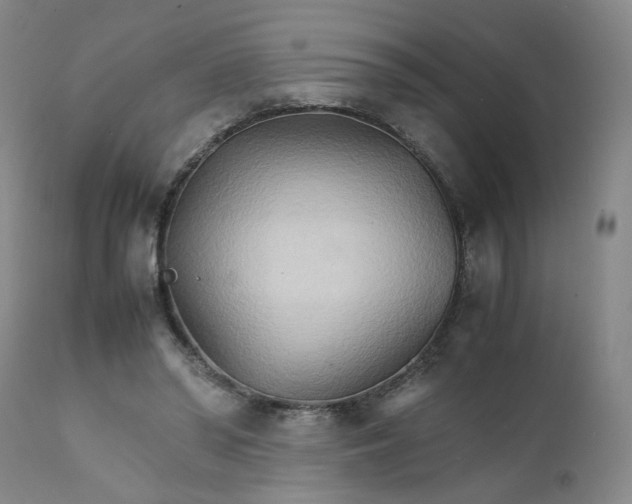 X0000111230398200907161322