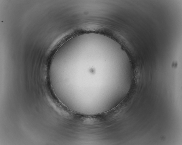 X0000111230400200907161322