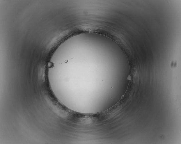 X0000111230404200907161322