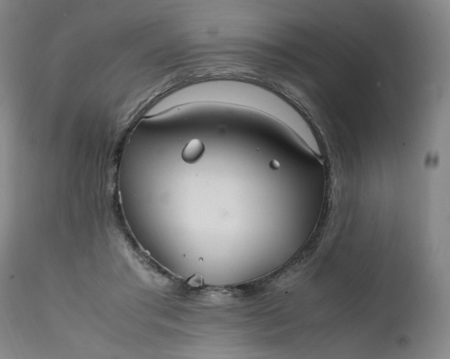 X0000111230405200907161322
