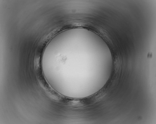 X0000111230406200907161322
