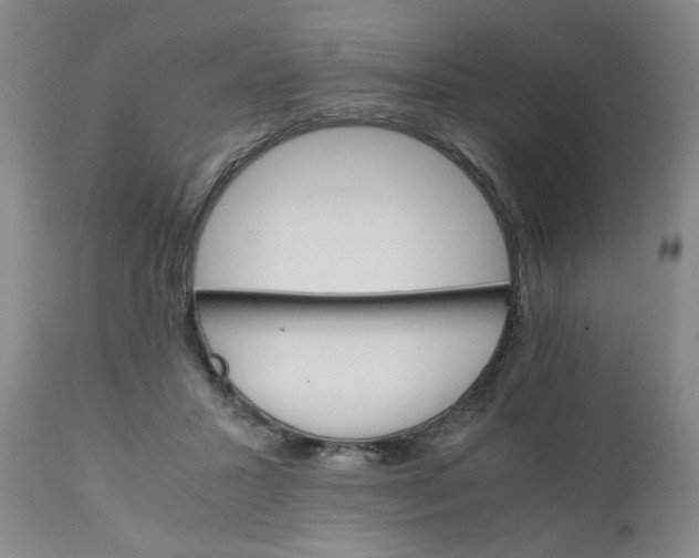 X0000111230407200907161322
