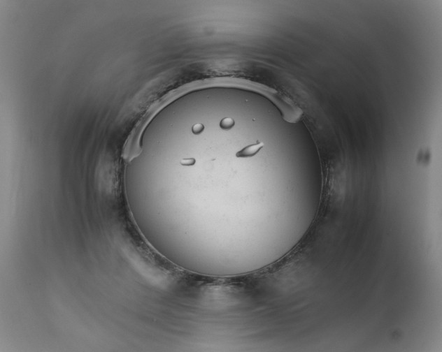 X0000111230408200907161321