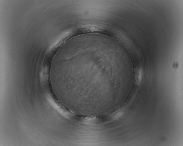 X0000111230410200907161321