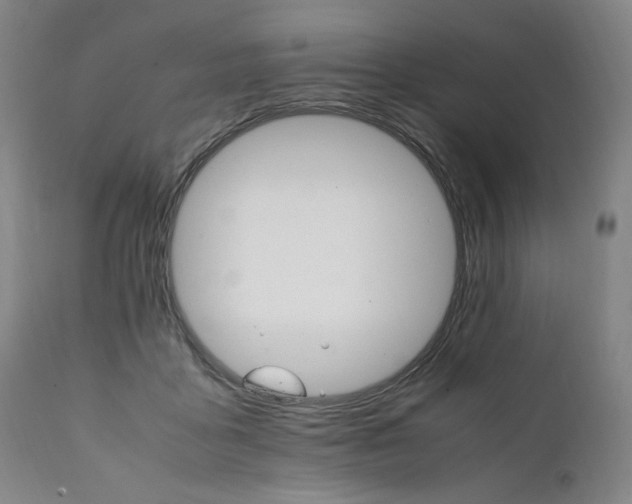 X0000111230411200907161321