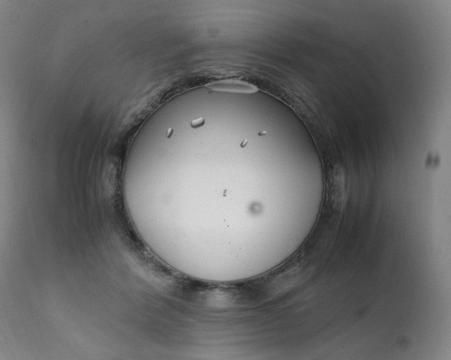 X0000111230412200907161321