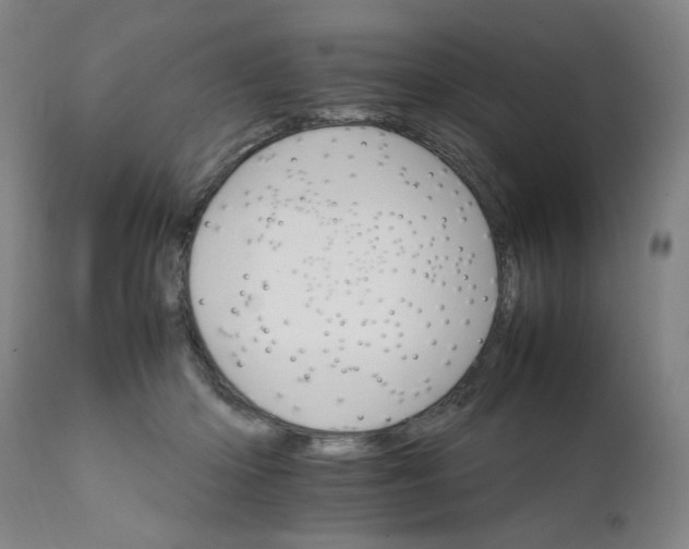 X0000111230414200907161321