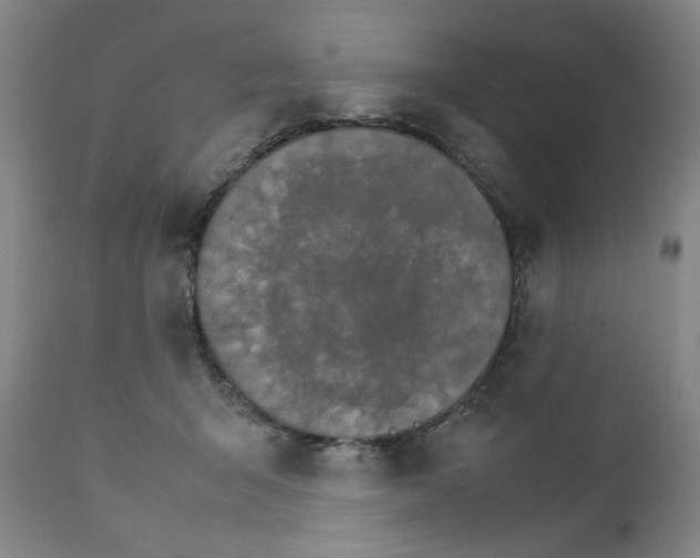 X0000111230415200907161321