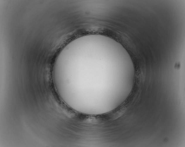 X0000111230416200907161321