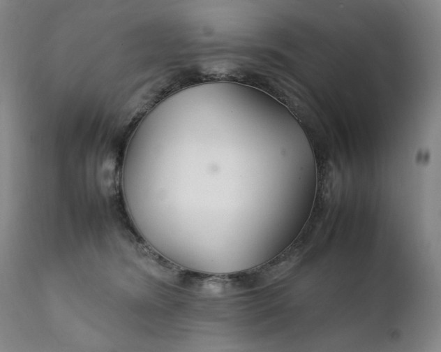 X0000111230420200907161321