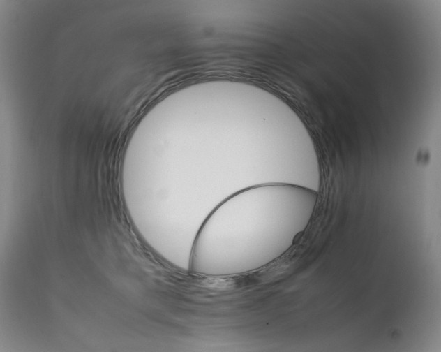 X0000111230421200907161321