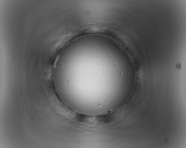 X0000111230423200907161321
