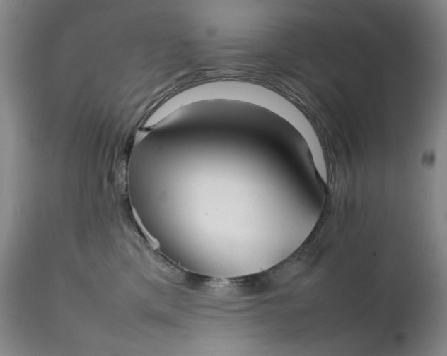 X0000111230425200907161321