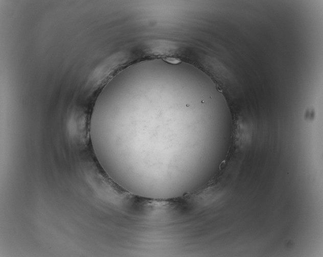 X0000111230428200907161321