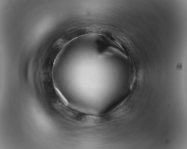 X0000111230429200907161321