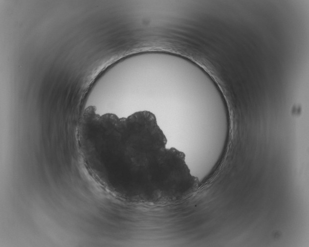 X0000111230434200907161320
