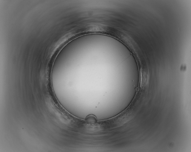 X0000111230435200907161320