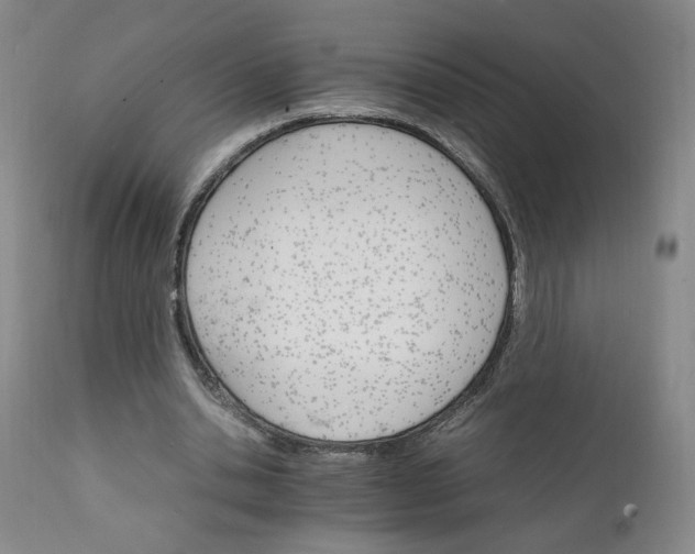 X0000111230438200907161320