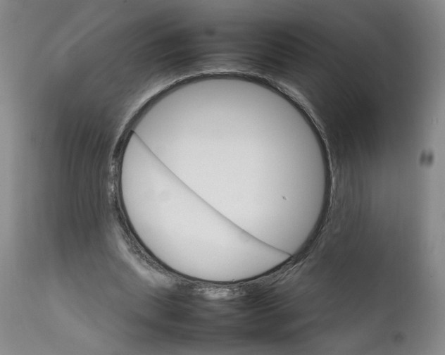 X0000111230439200907161320