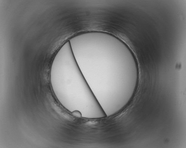 X0000111230441200907161320