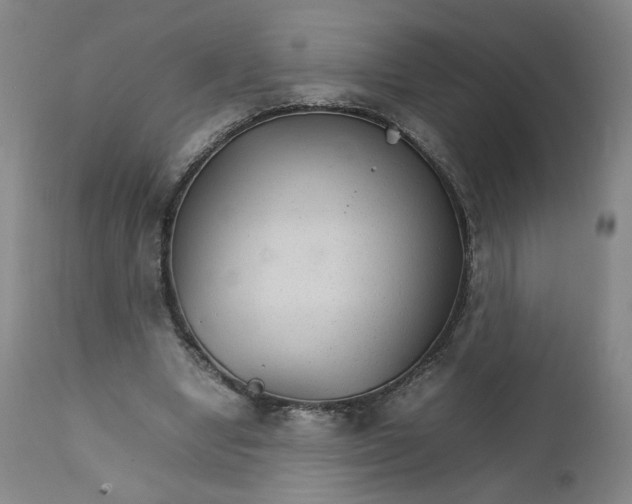 X0000111230442200907161320