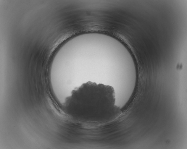 X0000111230443200907161320
