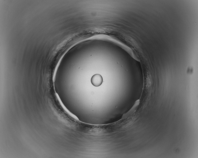 X0000111230444200907161320