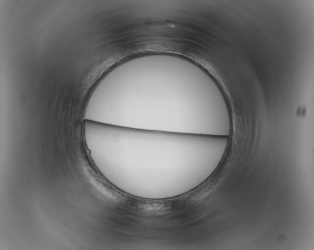 X0000111230445200907161320