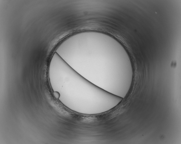 X0000111230446200907161321